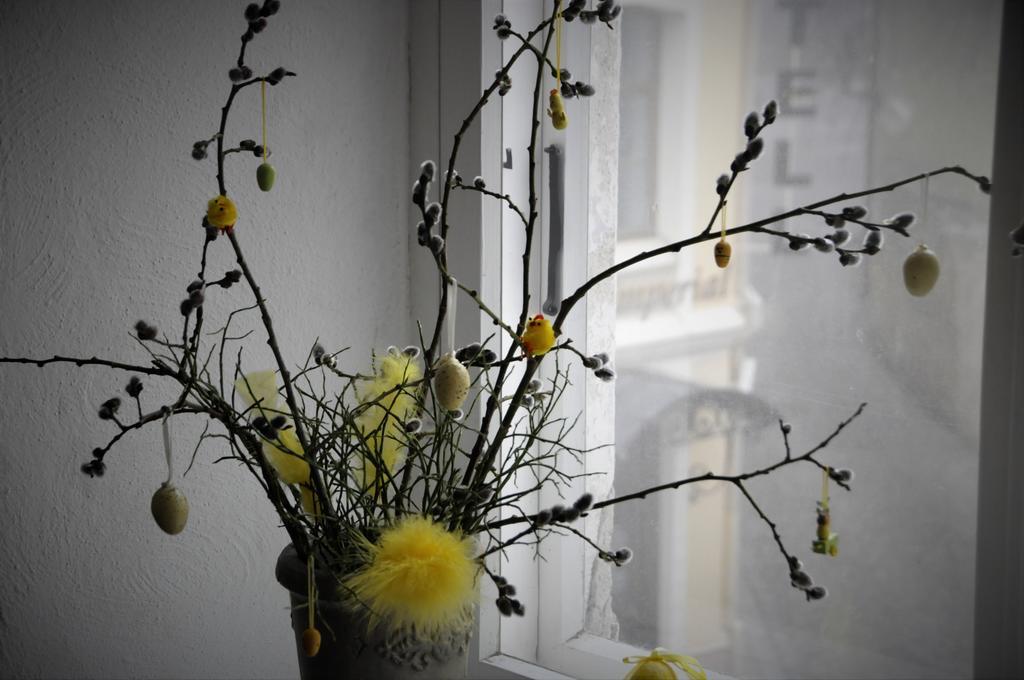 Calandra Apartment Tallinn Ngoại thất bức ảnh